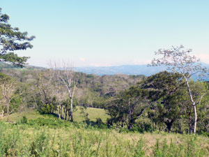 The property continues beyond a wooded middle to a beautiful meadow beside the ICE forest. 